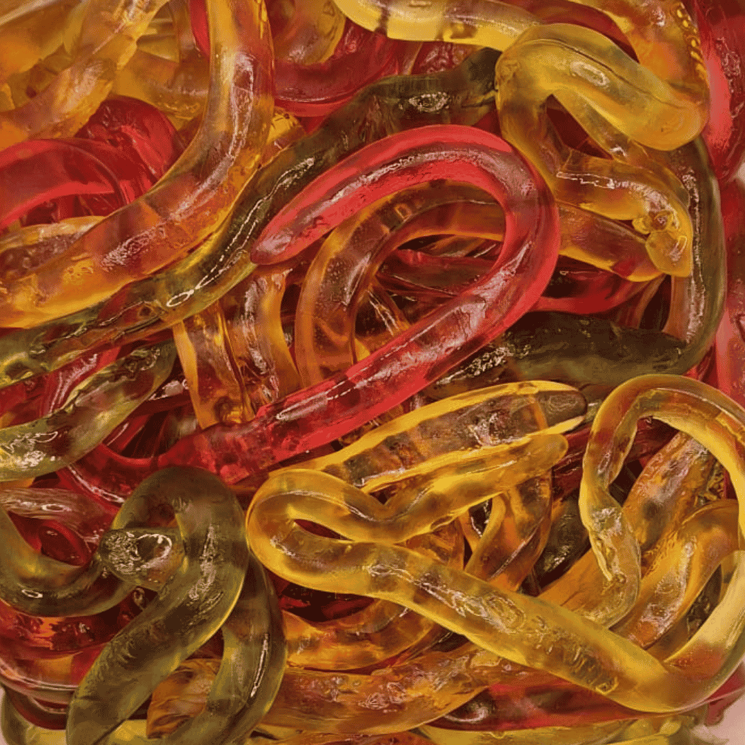 Swedish Giant Snakes