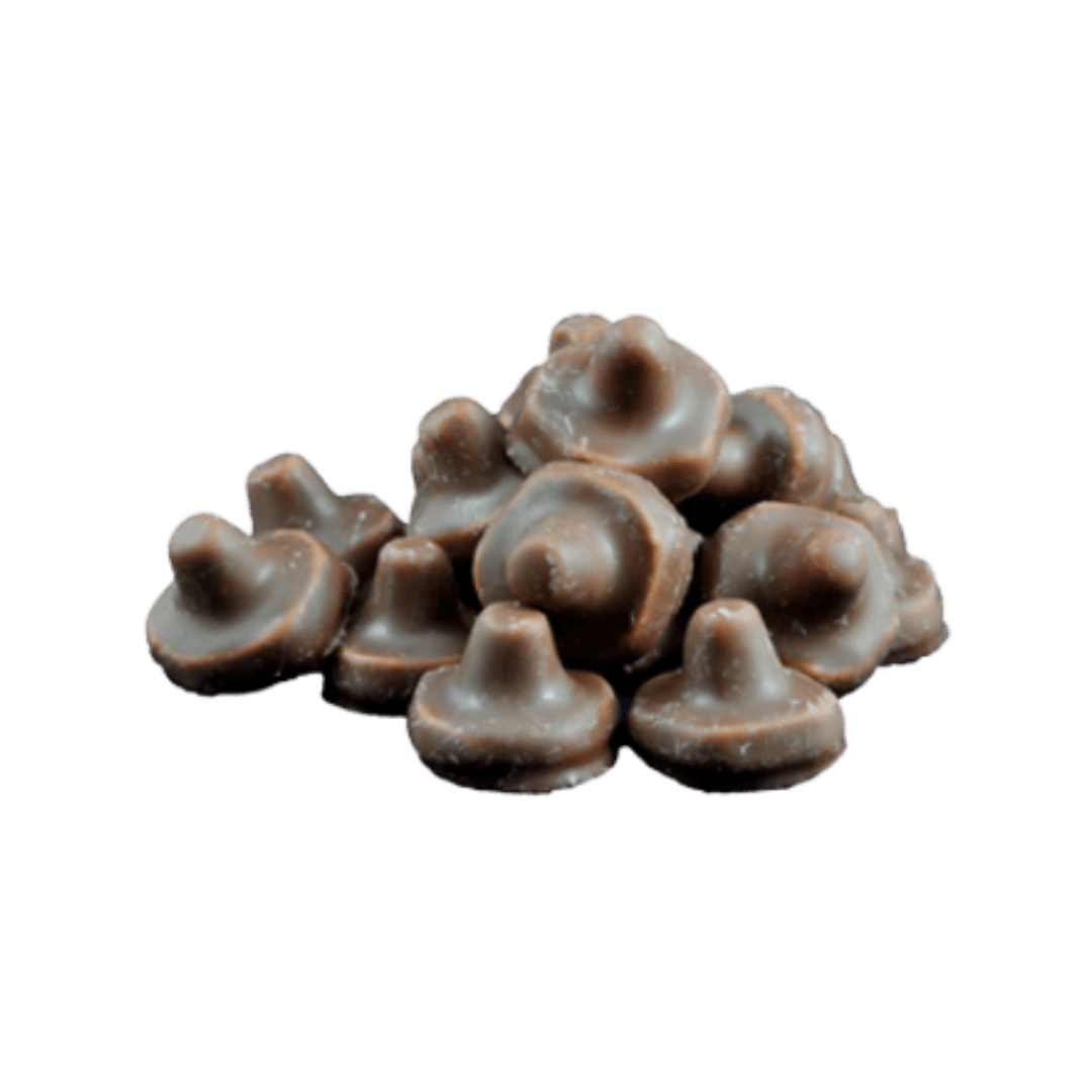 Chocolate Mushrooms