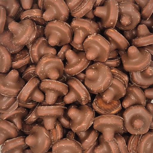 A clear plastic square container filled with small brown mushroom-shaped chocolates, photographed from above on a white surface.