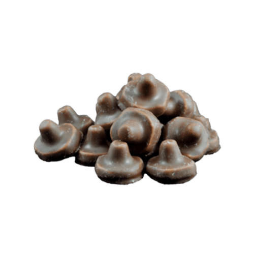 Chocolate Mushrooms