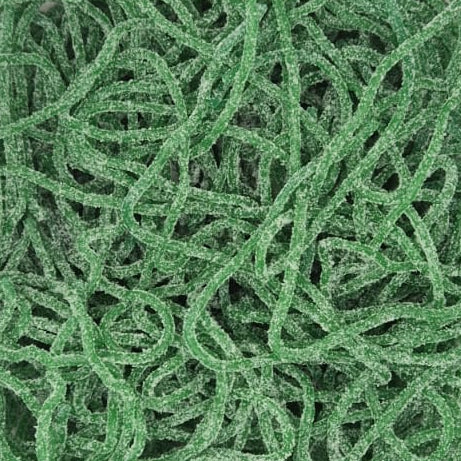 Green curly string or nettle-like material packed inside a clear plastic square container, photographed from above on a white surface.