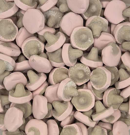 Violet Licorice Mushroom