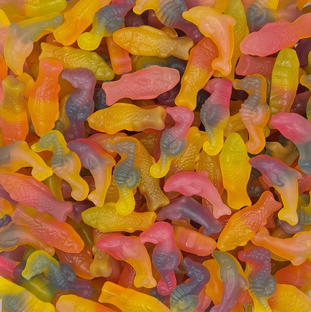 Rainbow Sea