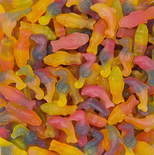 Rainbow Sea
