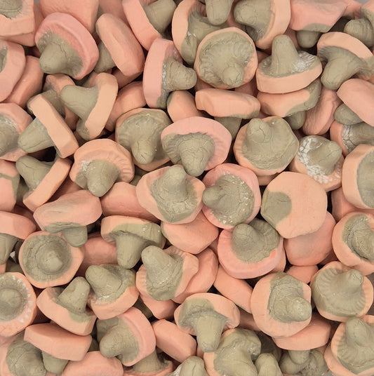 Raspberry Licorice Foam Mushroom